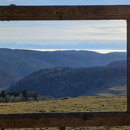 Sonnenstrahl Daire Todtmoos Dış mekan fotoğraf