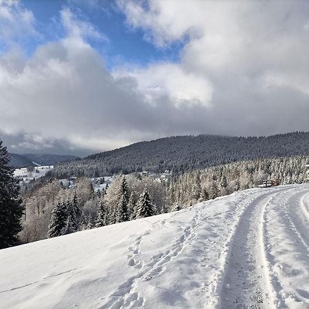 Sonnenstrahl Daire Todtmoos Dış mekan fotoğraf