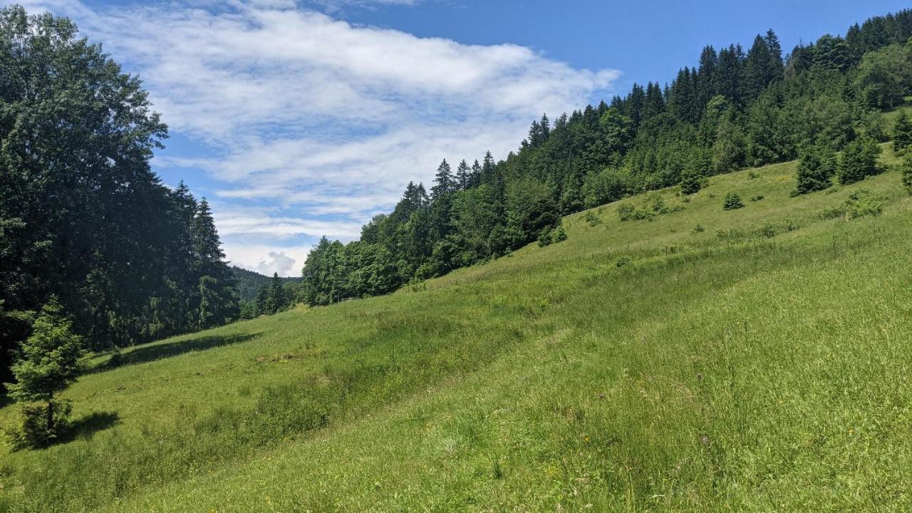 Sonnenstrahl Daire Todtmoos Dış mekan fotoğraf