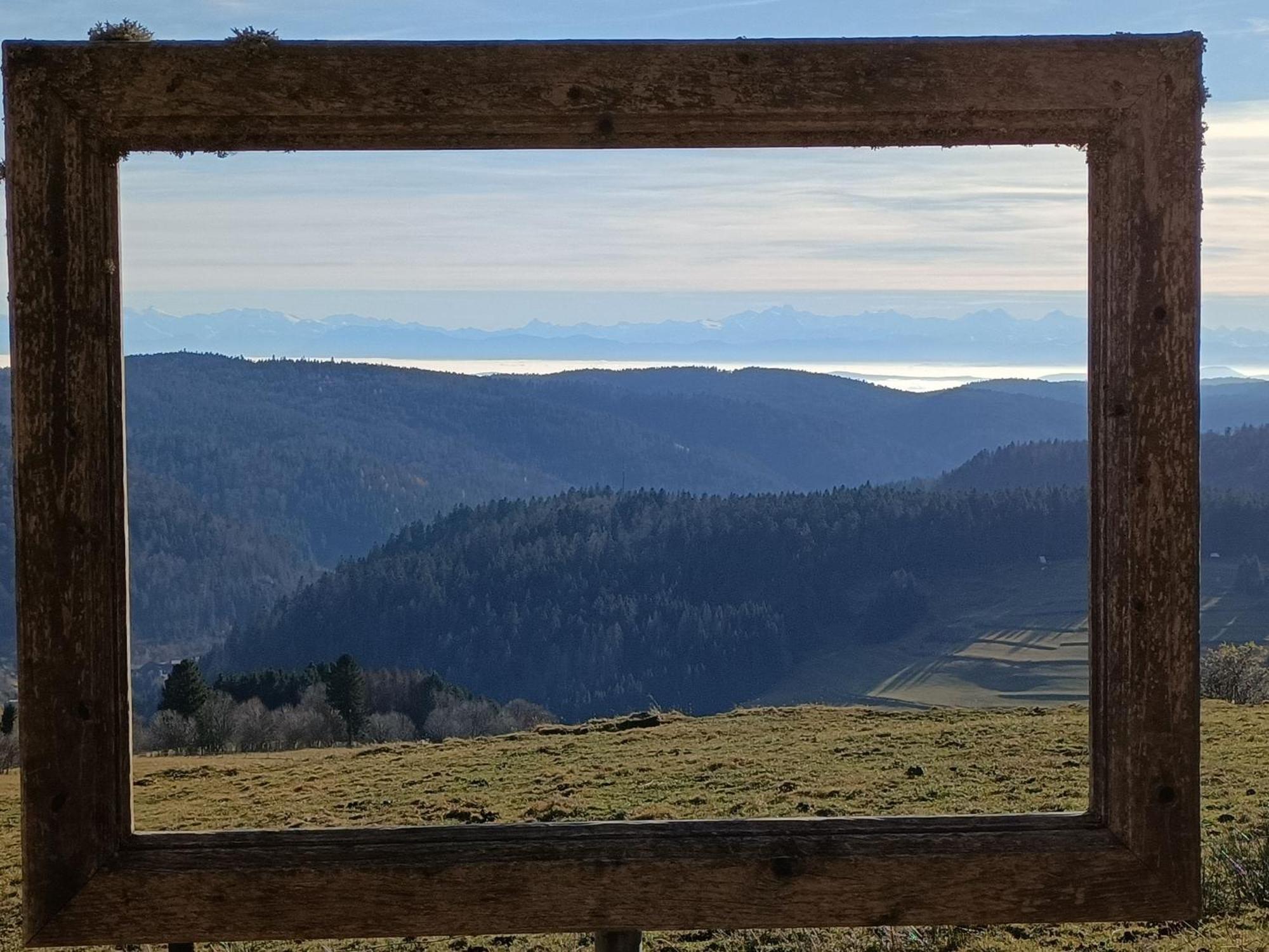 Sonnenstrahl Daire Todtmoos Dış mekan fotoğraf